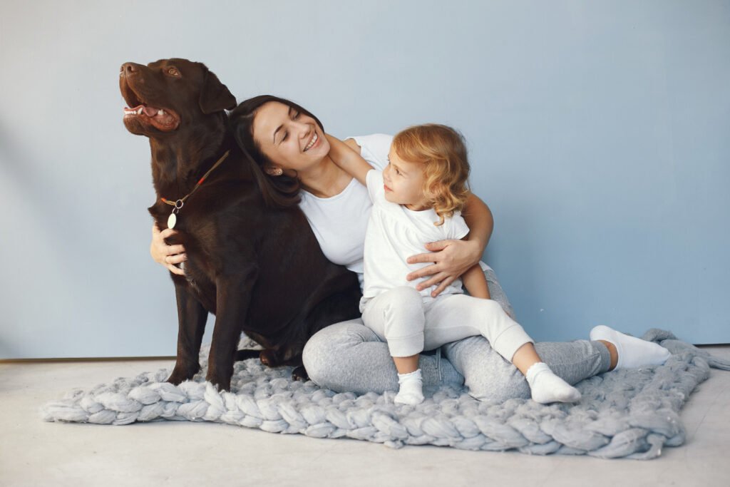 Préparer votre chien pour l’arrivée de bébé: conseils pratiques pour une transition en douceur